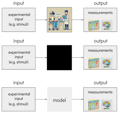 A brief introduction to computational modelling